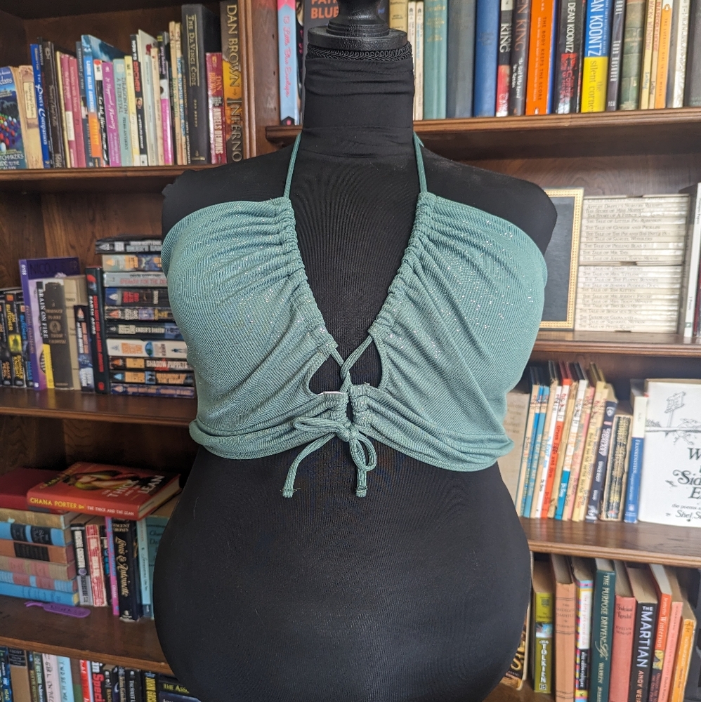 Sparkly Tie Front Bikini Top 3xl